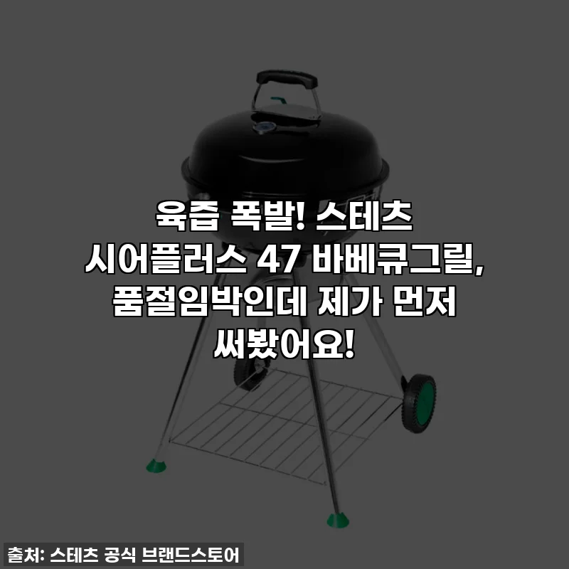 육즙 폭발! 스테츠 시어플러스 47 바베큐그릴, 품절임박인데 제가 먼저 써봤어요!
