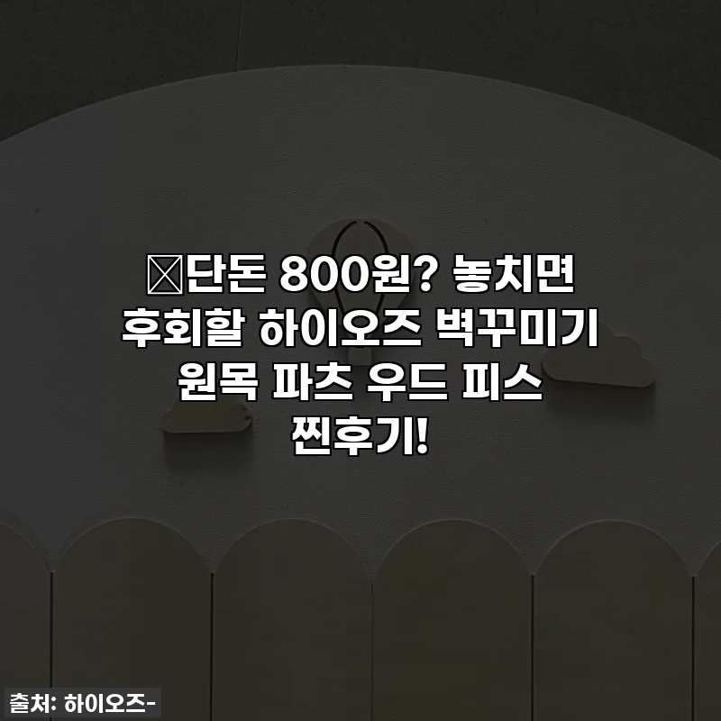 🔥단돈 800원? 놓치면 후회할 하이오즈 벽꾸미기 원목 파츠 우드 피스 찐후기!
