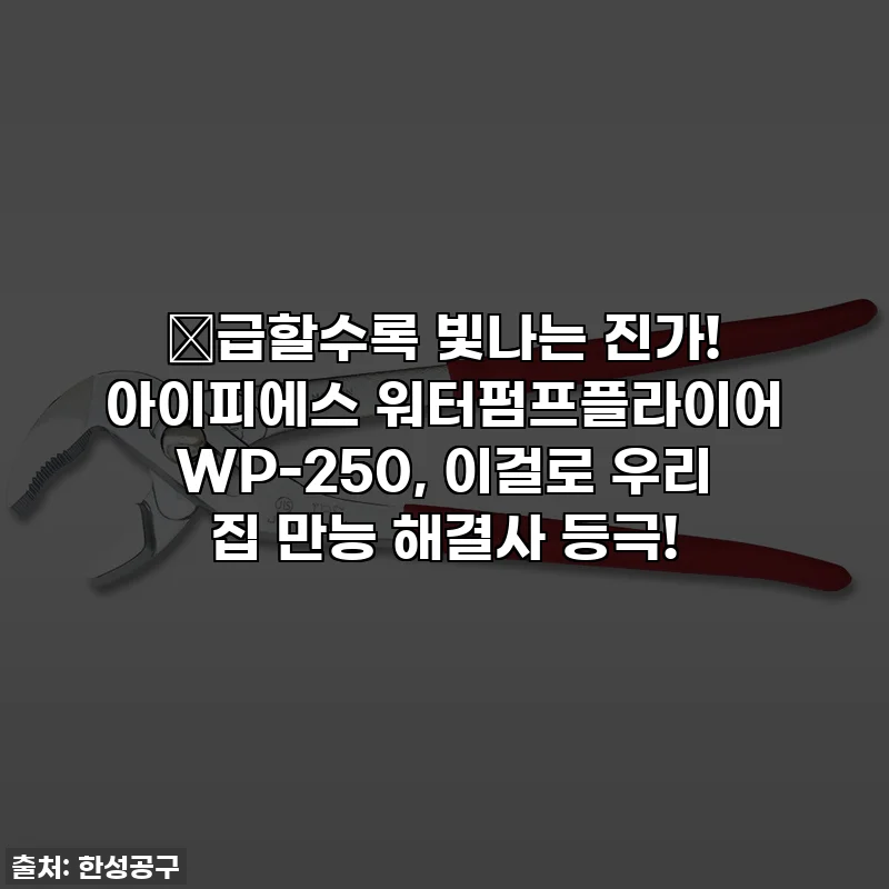 🔥급할수록 빛나는 진가! 아이피에스 워터펌프플라이어 WP-250, 이걸로 우리 집 만능 해결사 등극!