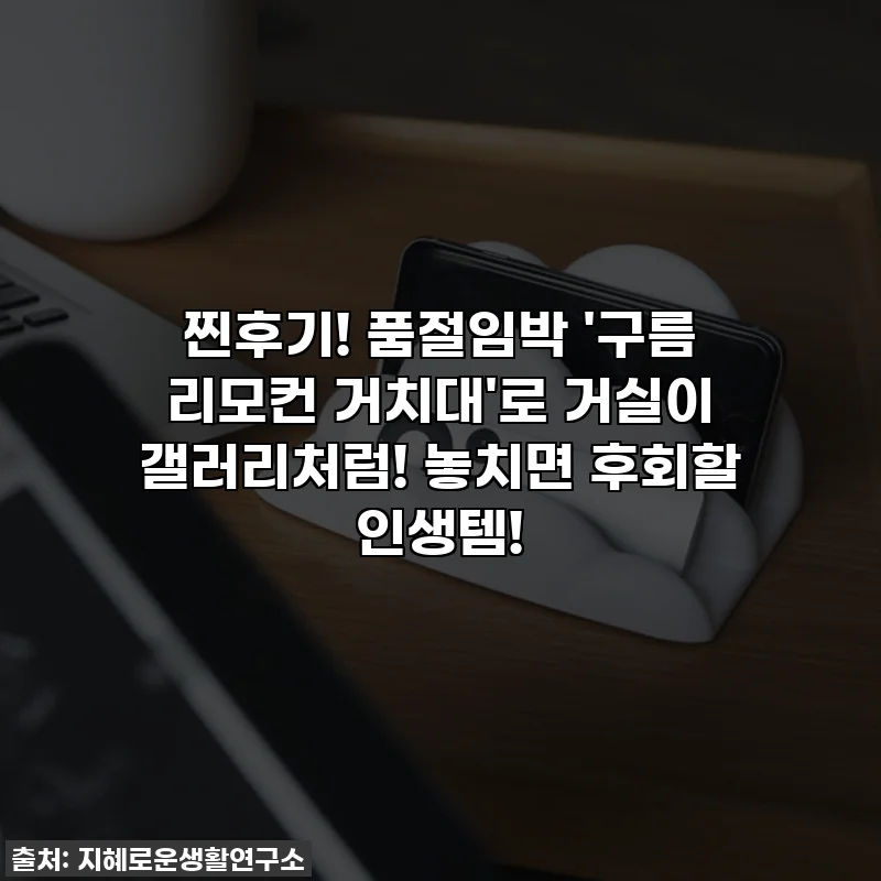 찐후기! 품절임박 '구름 리모컨 거치대'로 거실이 갤러리처럼! 놓치면 후회할 인생템!