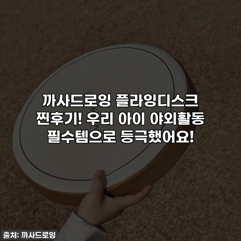 까사드로잉 플라잉디스크 찐후기! 우리 아이 야외활동 필수템으로 등극했어요!