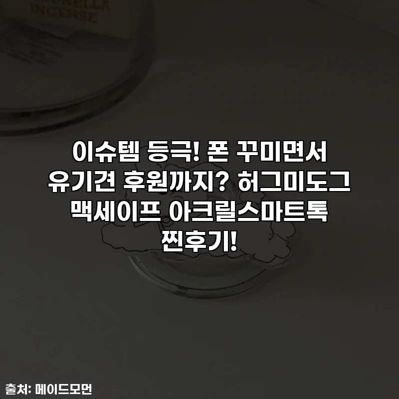 이슈템 등극! 폰 꾸미면서 유기견 후원까지? 허그미도그 맥세이프 아크릴스마트톡 찐후기!