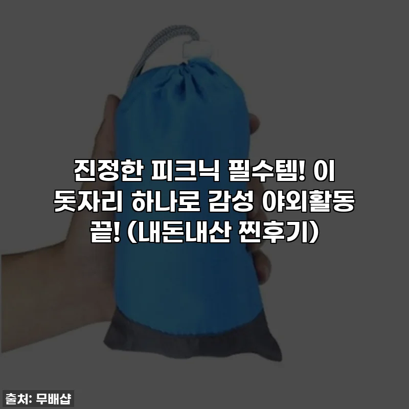 진정한 피크닉 필수템! 이 돗자리 하나로 감성 야외활동 끝! (내돈내산 찐후기)