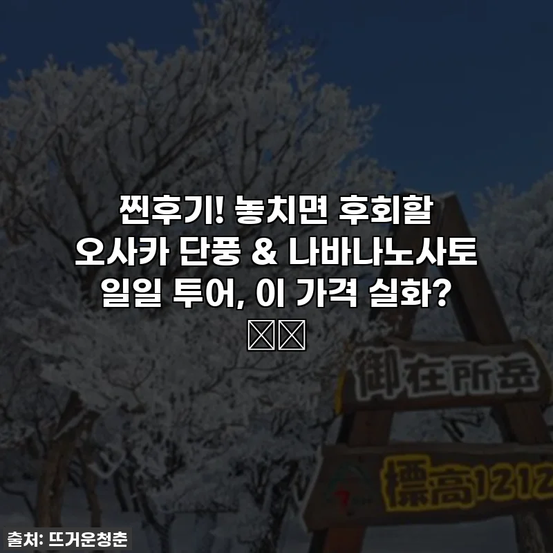 찐후기! 놓치면 후회할 오사카 단풍 & 나바나노사토 일일 투어, 이 가격 실화? 🍁✨