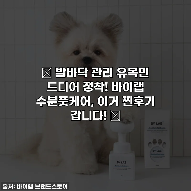 🐾 발바닥 관리 유목민 드디어 정착! 바이랩 수분풋케어, 이거 찐후기 갑니다! 🐾