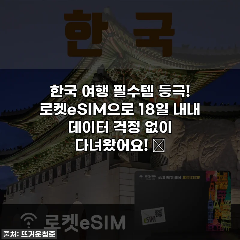 한국 여행 필수템 등극! 로켓eSIM으로 18일 내내 데이터 걱정 없이 다녀왔어요! 🤩