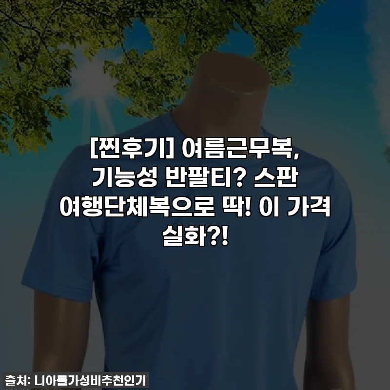 [찐후기] 여름근무복, 기능성 반팔티? 스판 여행단체복으로 딱! 이 가격 실화?!