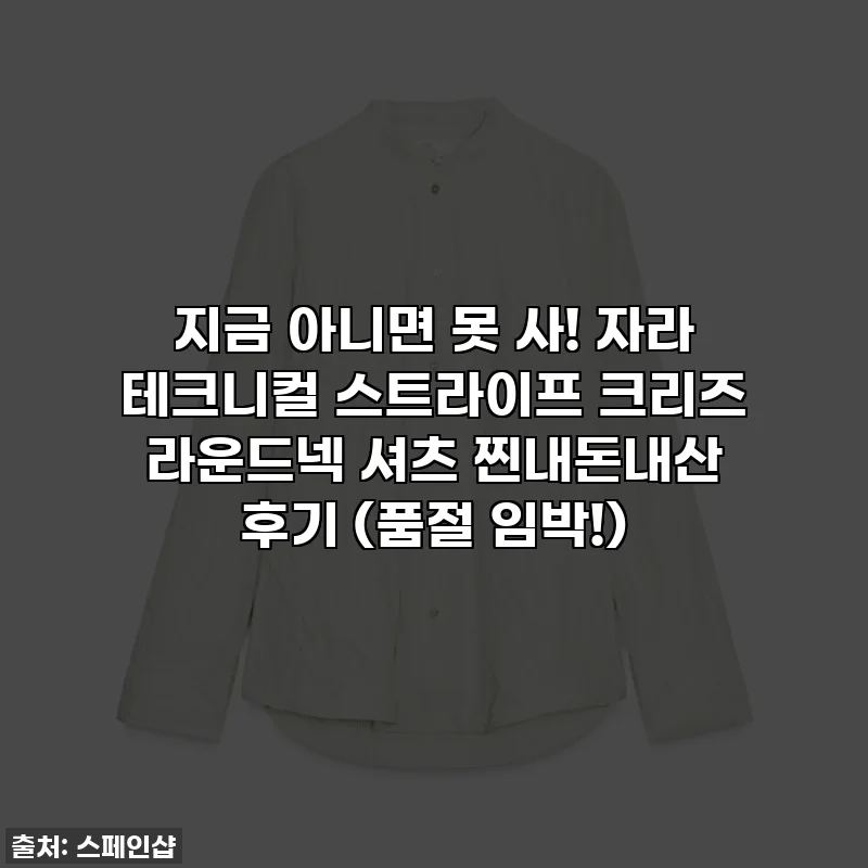 지금 아니면 못 사! 자라 테크니컬 스트라이프 크리즈 라운드넥 셔츠 찐내돈내산 후기 (품절 임박!)