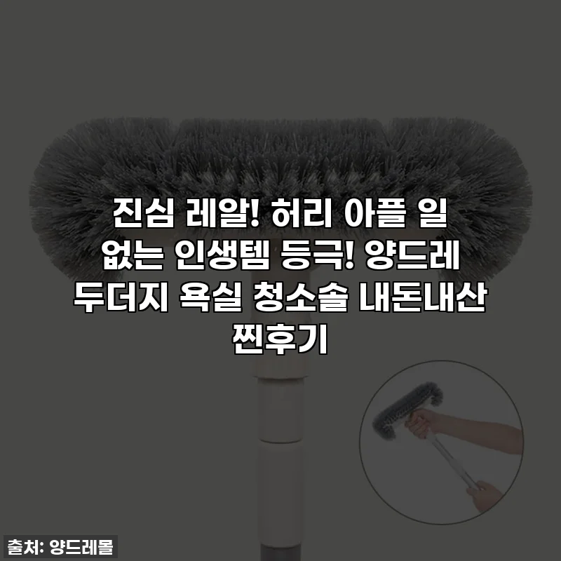 진심 레알! 허리 아플 일 없는 인생템 등극! 양드레 두더지 욕실 청소솔 내돈내산 찐후기