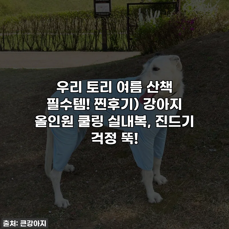 우리 토리 여름 산책 필수템! 찐후기) 강아지 올인원 쿨링 실내복, 진드기 걱정 뚝!