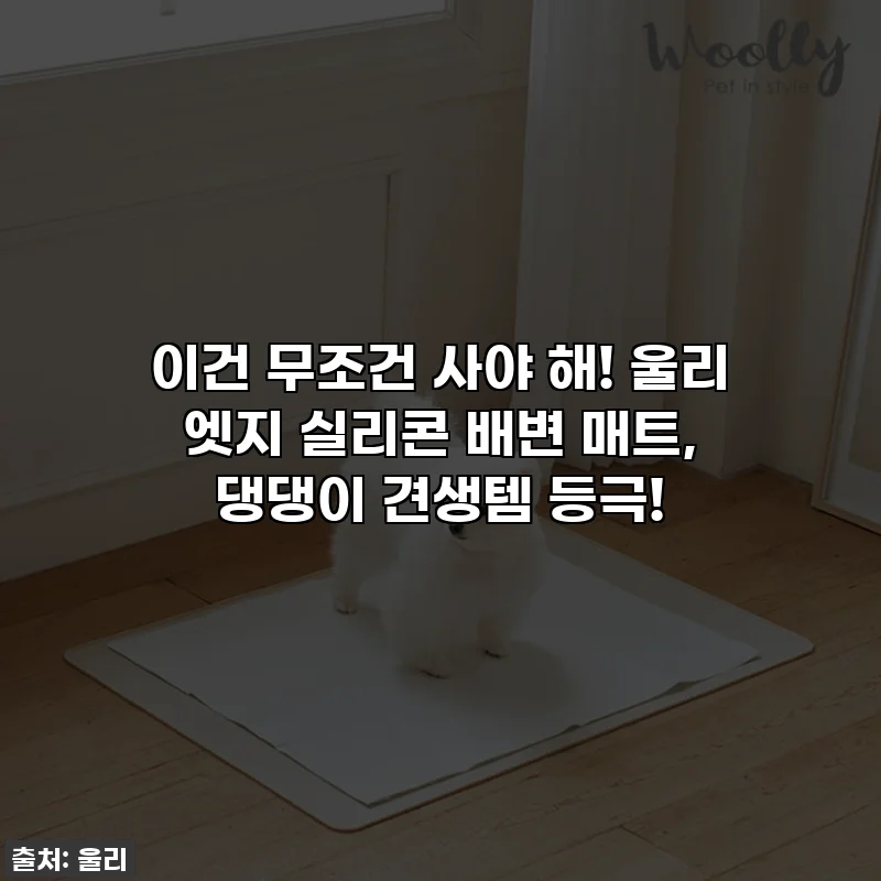 이건 무조건 사야 해! 울리 엣지 실리콘 배변 매트, 댕댕이 견생템 등극!