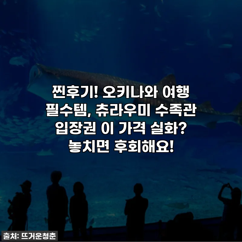 찐후기! 오키나와 여행 필수템, 츄라우미 수족관 입장권 이 가격 실화? 놓치면 후회해요!