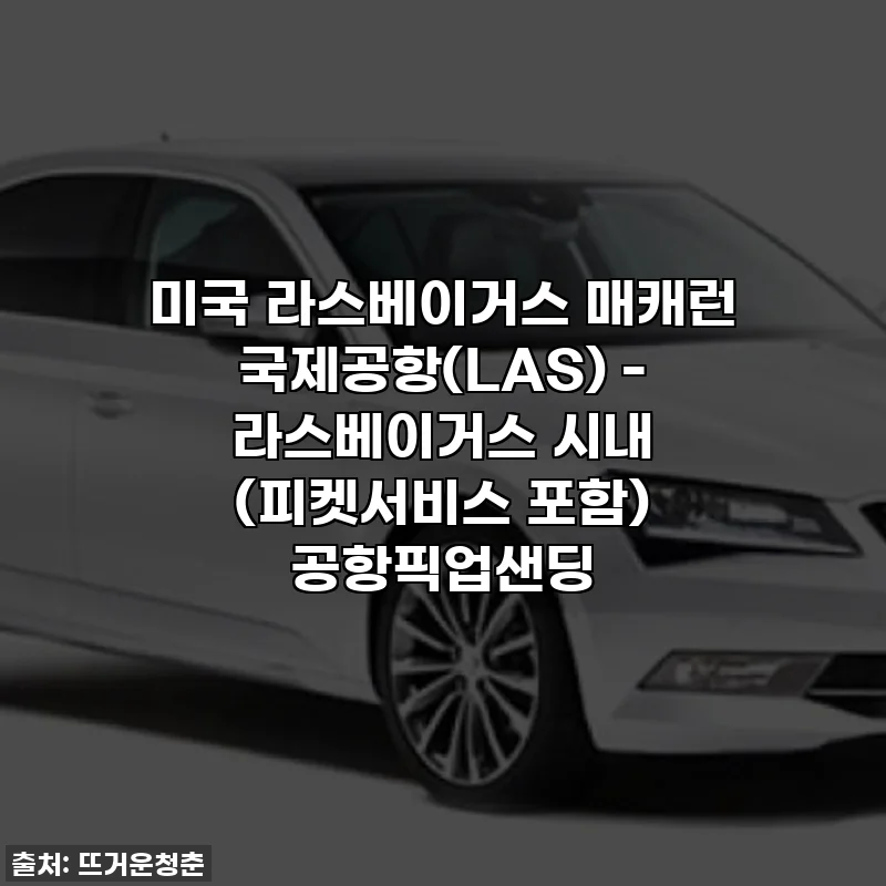 미국 라스베이거스 매캐런 국제공항(LAS) - 라스베이거스 시내 (피켓서비스 포함) 공항픽업샌딩