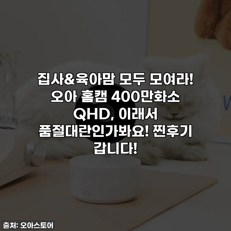 집사&육아맘 모두 모여라! 오아 홈캠 400만화소 QHD, 이래서 품절대란인가봐요! 찐후기 갑니다!