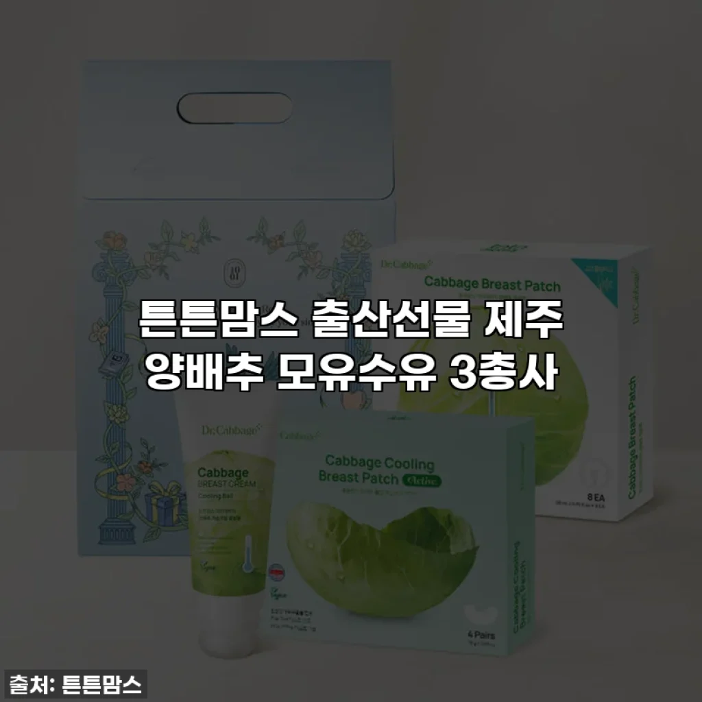 튼튼맘스 출산선물 제주 양배추 모유수유 3총사