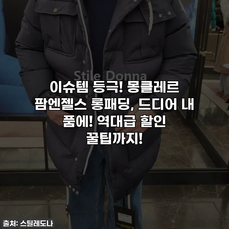 이슈템 등극! 몽클레르 팜엔젤스 롱패딩, 드디어 내 품에! 역대급 할인 꿀팁까지!