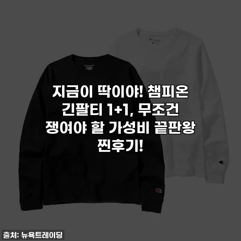 지금이 딱이야! 챔피온 긴팔티 1+1, 무조건 쟁여야 할 가성비 끝판왕 찐후기!