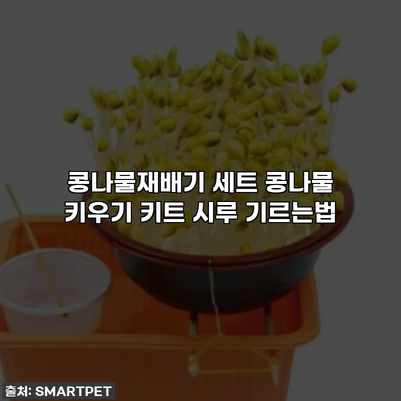 콩나물재배기 세트 콩나물 키우기 키트 시루 기르는법