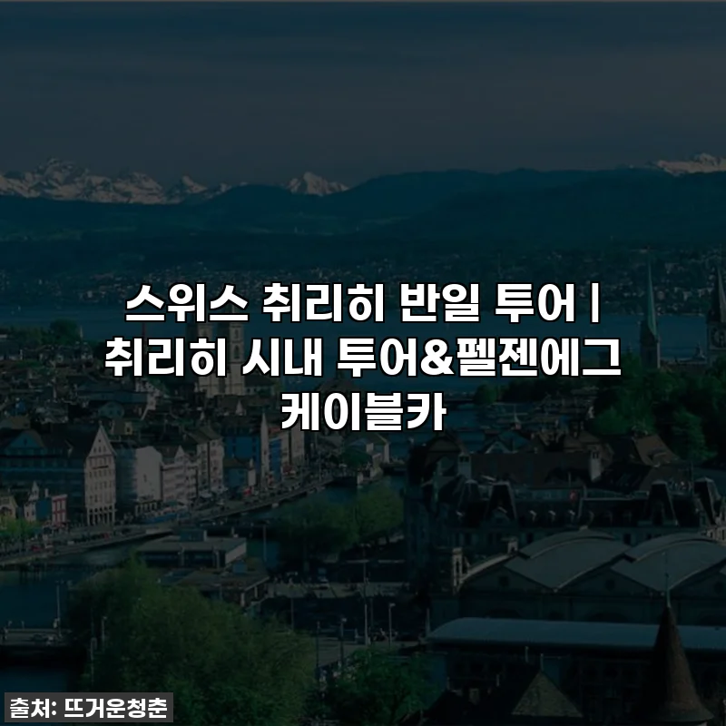 스위스 취리히 반일 투어 | 취리히 시내 투어&펠젠에그 케이블카