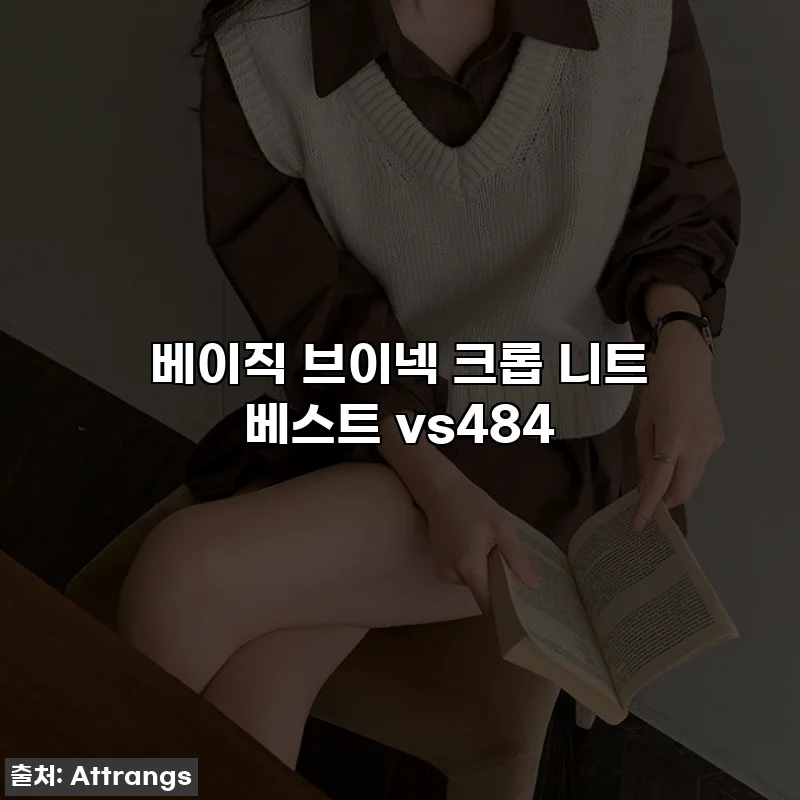 베이직 브이넥 크롭 니트 베스트 vs484