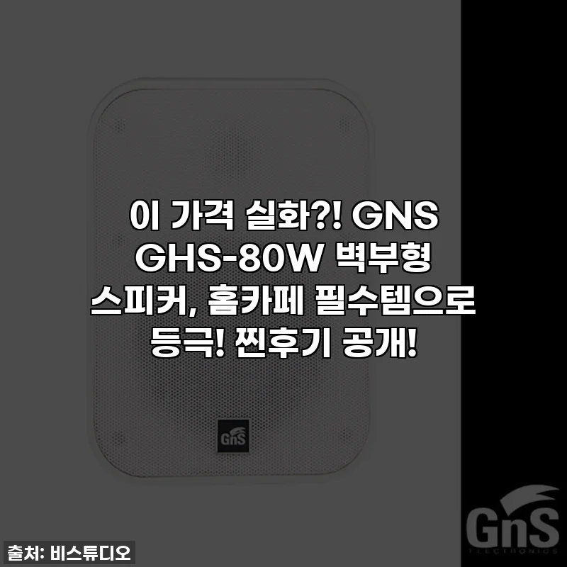 이 가격 실화?! GNS GHS-80W 벽부형 스피커, 홈카페 필수템으로 등극! 찐후기 공개!