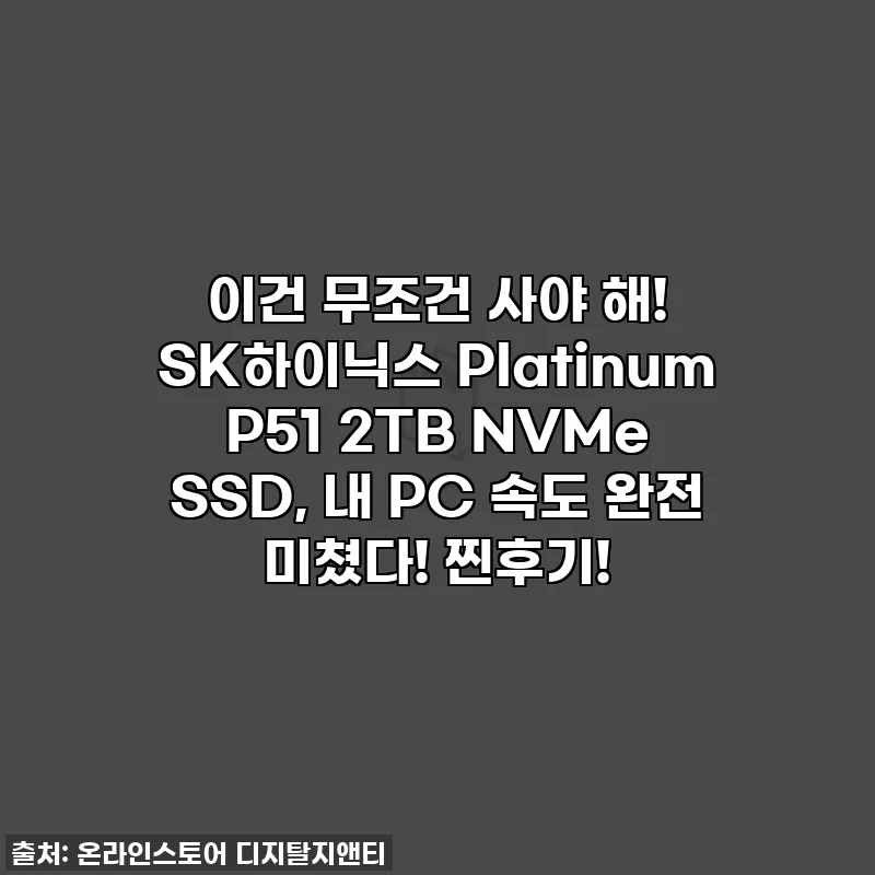 이건 무조건 사야 해! SK하이닉스 Platinum P51 2TB NVMe SSD, 내 PC 속도 완전 미쳤다! 찐후기!