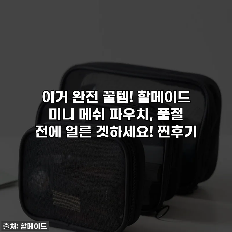 이거 완전 꿀템! 할메이드 미니 메쉬 파우치, 품절 전에 얼른 겟하세요! 찐후기