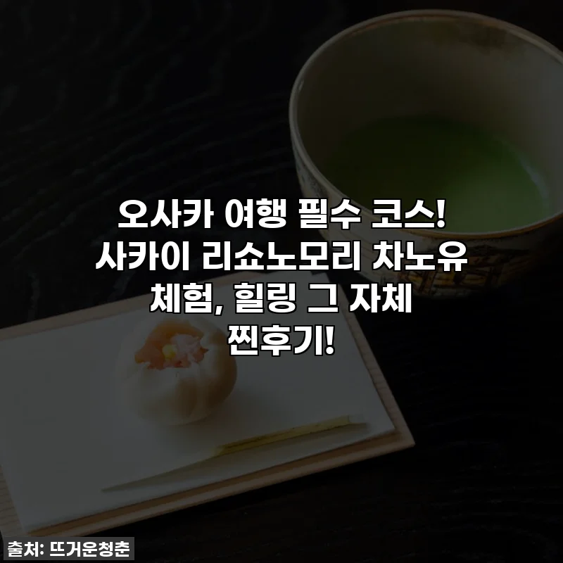 오사카 여행 필수 코스! 사카이 리쇼노모리 차노유 체험, 힐링 그 자체 찐후기!