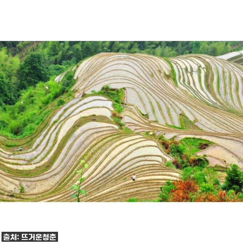 꿈만 같던 비경 속으로: 구이린 롱지 관련 이미지 1