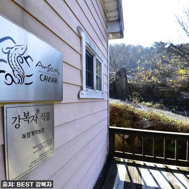 지친 육아맘의 구원템! 철갑상어즙, 관련 이미지 2