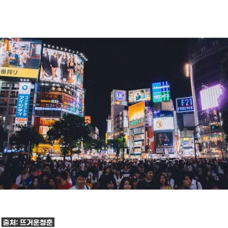 도쿄 여행, 이제야 '찐' 도쿄를 만 관련 이미지 2