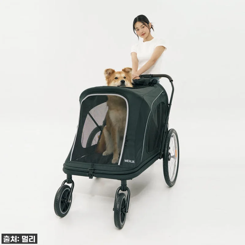 노견 만세! 멀리 중대형견 강아지유모 관련 이미지 1