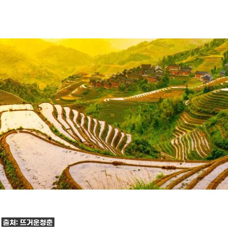 꿈만 같던 비경 속으로: 구이린 롱지 관련 이미지 2