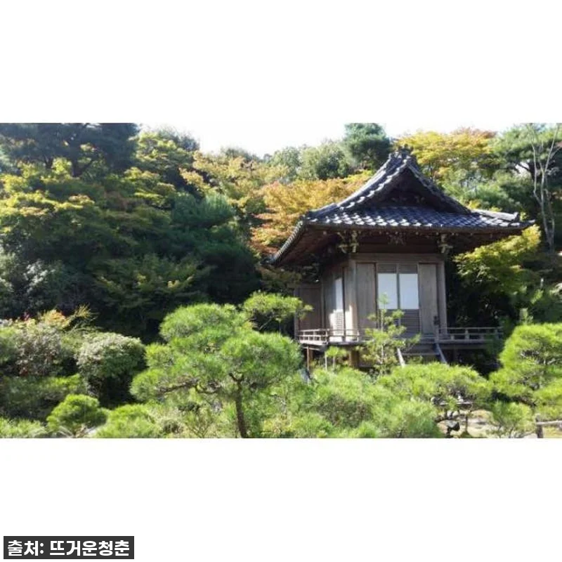 내 마음대로 떠나는 일본 오사카-교토 관련 이미지 3