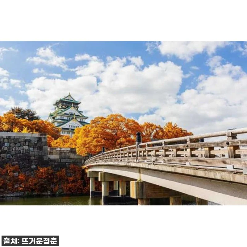 오사카 자유여행, 이제 헤매지 마세요 관련 이미지 4