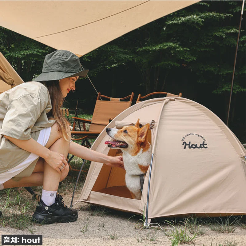 🐶💖 품절대란 예상! 하웃 반려동물 관련 이미지 3