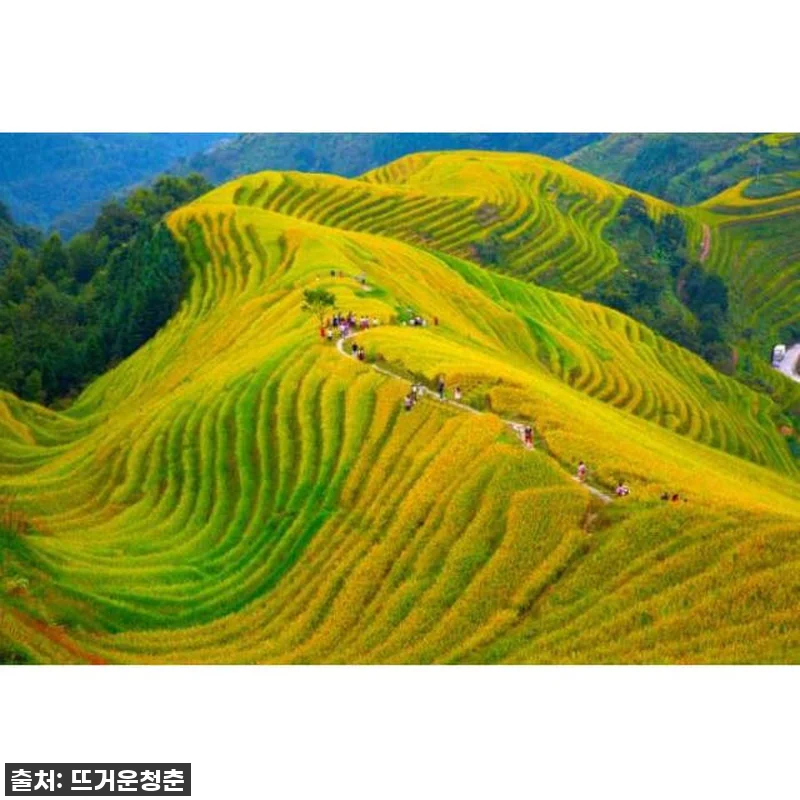 꿈만 같던 비경 속으로: 구이린 롱지 관련 이미지 4