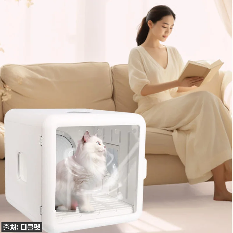 역대급 할인! 품절대란 [디클펫] 펫 관련 이미지 5