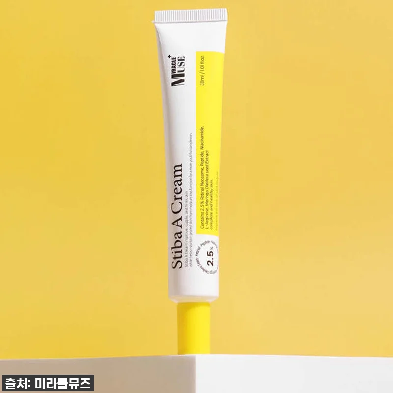 이제 알았다고? 미라클뮤즈 스티바A크 관련 이미지 7
