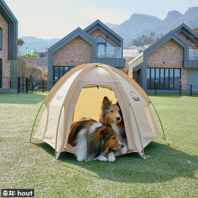 🐶💖 품절대란 예상! 하웃 반려동물 관련 이미지 7