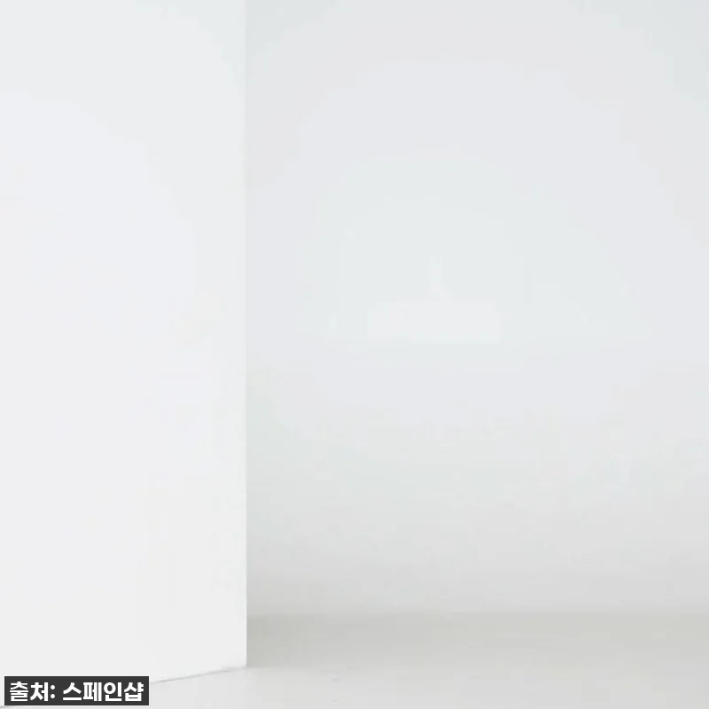 🔥역대급 퀄리티! 마시모두띠 프리미엄 관련 이미지 9