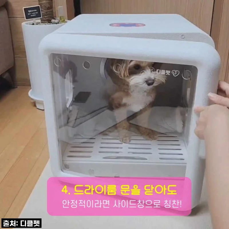 역대급 할인! 품절대란 [디클펫] 펫드라이룸, 우리 댕냥이들 꿀잠 보장? 직접 써보니…