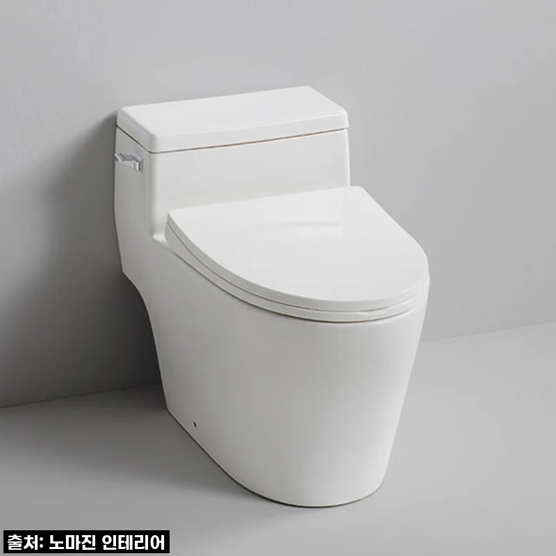 ✨ 물내림 시원! 디자인도 갑! 대림바스 CC216 원피스 치마형 양변기, 이건 무조건이에요!
