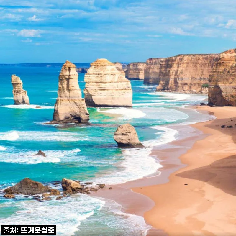 멜버른 여행 버킷리스트 실현! 그레이트 오션 로드 투어, 직접 경험한 솔직 후기!