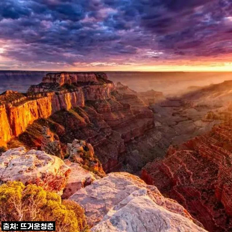 미국 서부 꿈의 여정! 샌프란시스코 출발 그랜드 캐니언 4일 투어, 이 가격 실화? 놓치면 후회할 찐 후기!