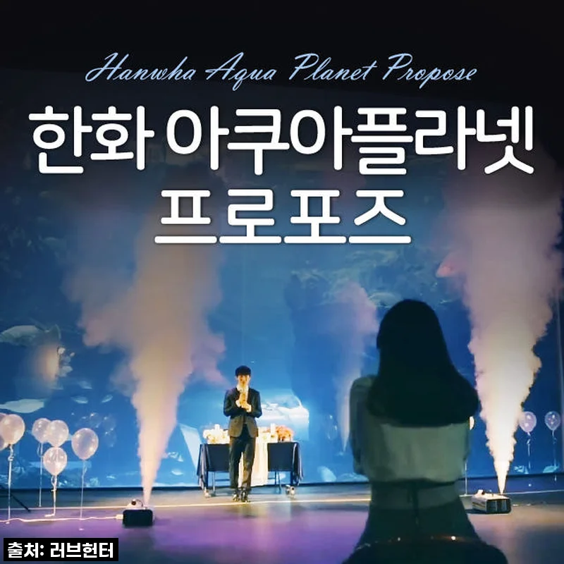 역대급 감동 보장! 한화 아쿠아플라넷 프로포즈 전문가패키지, 성공률 100% 리얼 후기!