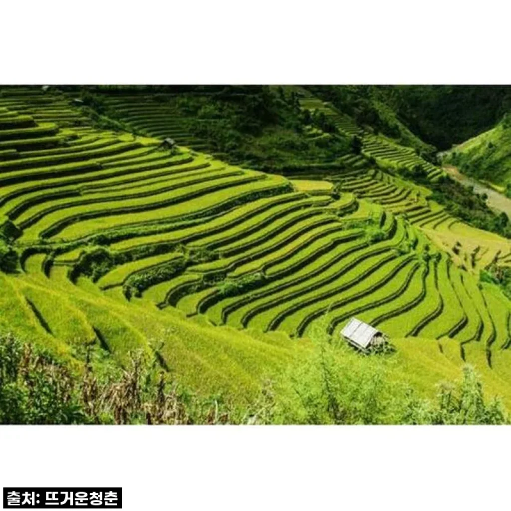 꿈만 같던 비경 속으로: 구이린 롱지 테라스 프라이빗 데이 투어, 직접 다녀온 솔직 후기!