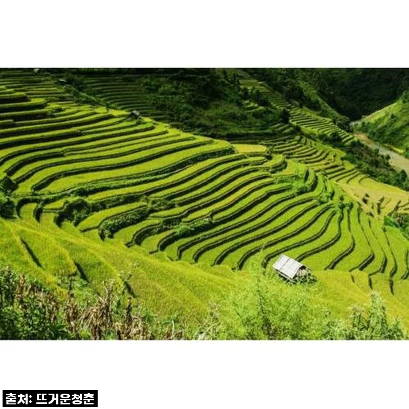 꿈만 같던 비경 속으로: 구이린 롱지 테라스 프라이빗 데이 투어, 직접 다녀온 솔직 후기!