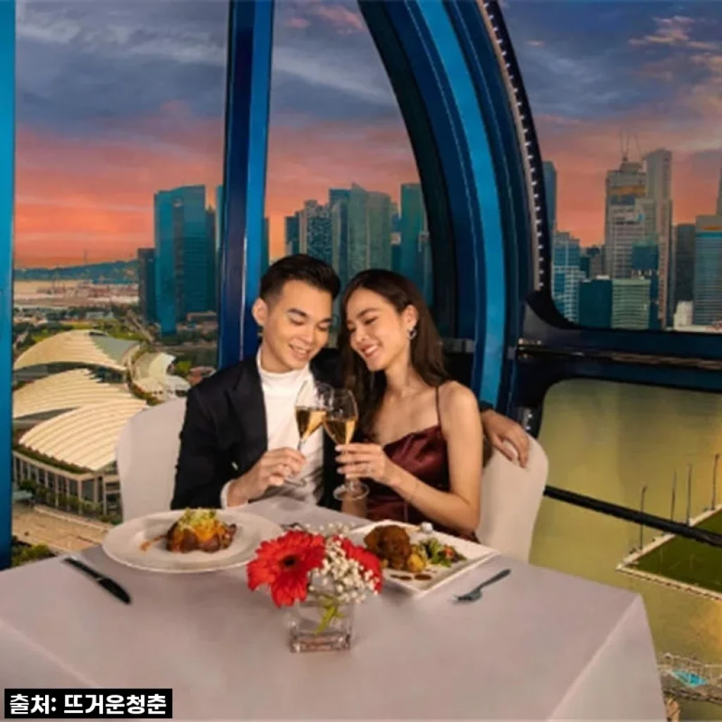 싱가포르 여행의 꽃, 플라이어 스카이 다이닝! 예약 성공 꿀팁부터 솔직 후기까지!
