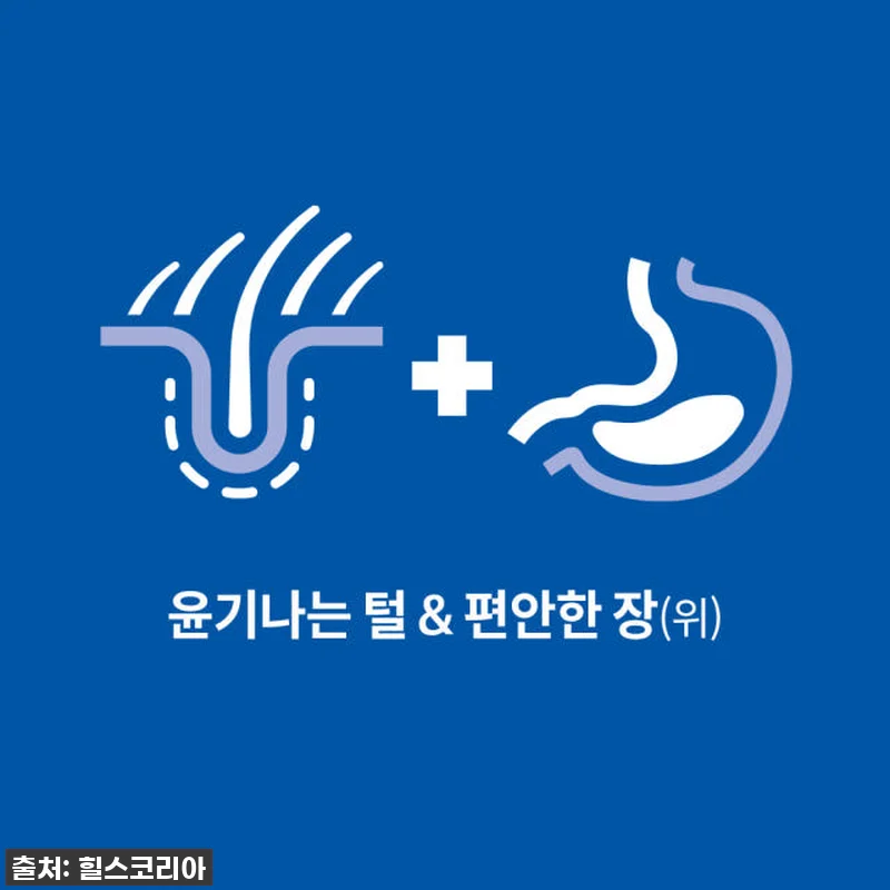 힐스 어덜트 센서티브 스토막 앤 스킨 관련 이미지 1